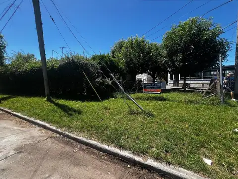 SENGUEL 6951