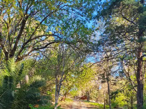 COMPLEJO DE CABAÑAS MÁS TERRENO EN VENTA