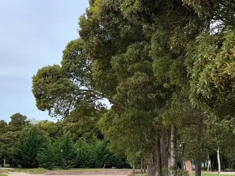 Terreno en Venta de 1100,0 m2
