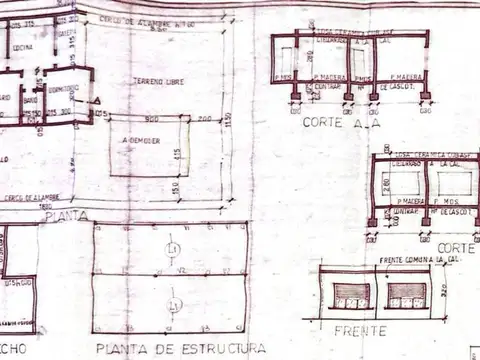 Monseñor Miguel de Andrea 1800