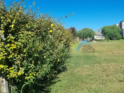 Terreno en Venta en Pilar del Este - San Ramiro, USD 32.500