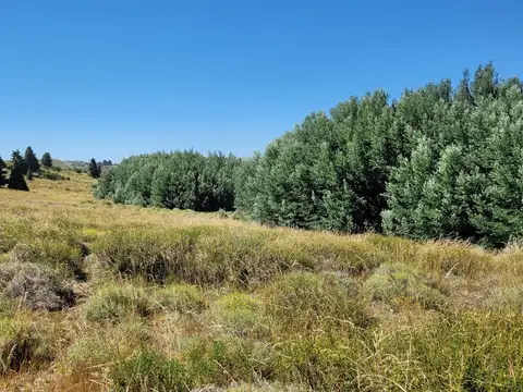 lago huechulafquen