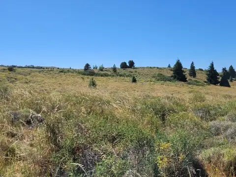 Terreno en Venta en Huechulafquen, USD 26.000