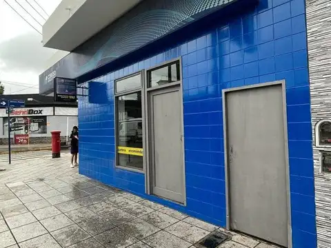 Avenida Brigadier General Juan Manuel de Rosas 600