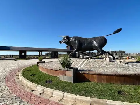 Terreno en Venta 20  mts Frente