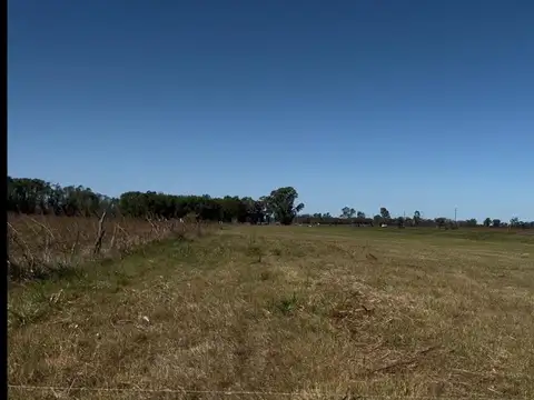 UNICA HECTAREA SOBRE SUTA 205 A 5 MIN DEL CENTRO DE CAÑUELAS