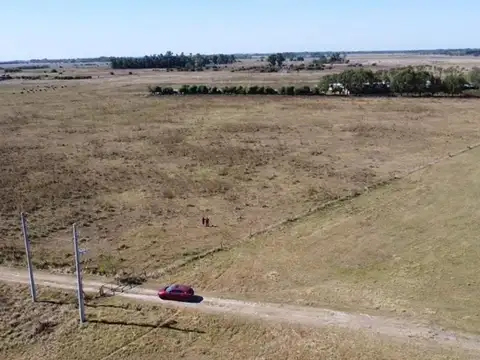 Terreno en Alquiler de 10000,0 m2