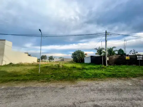 Ojeda y Leloir