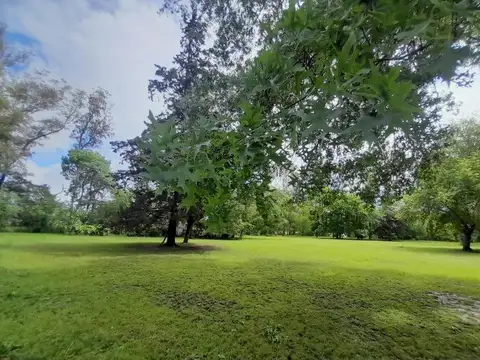 VENTA Terreno hectarea arbolada  en  Carabassa, Pilar