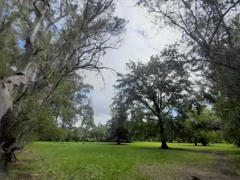 Terreno en Venta de 9500,0 m2