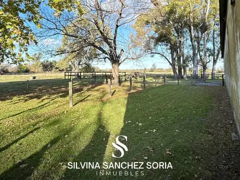 VENTA CAMPO 22,3 HAS DE POLO EN LOS CARDALES