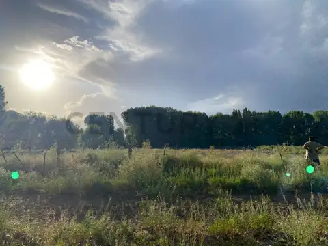 Campo en Venta en Uspallata, Las Heras