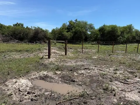 Ruta 20