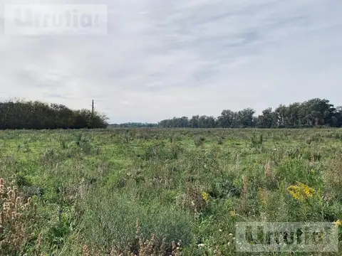 CAMPO de 146 hectareas  IDEAL DESARROLLO URBANISTICO