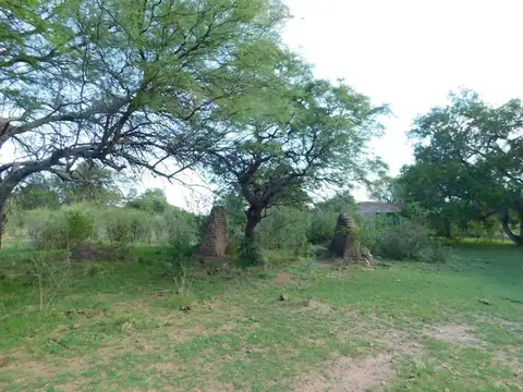 Campo en Venta Agrícola