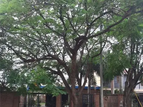 CALLE 12  SAN MARTIN 1900