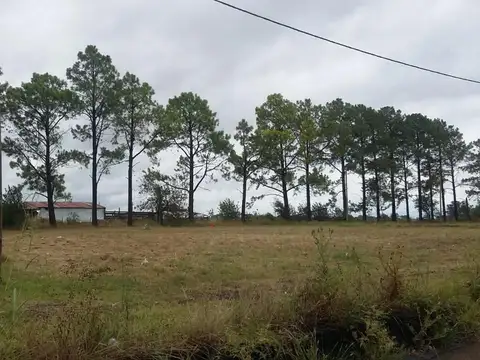 Loteo En Primero De Mayo