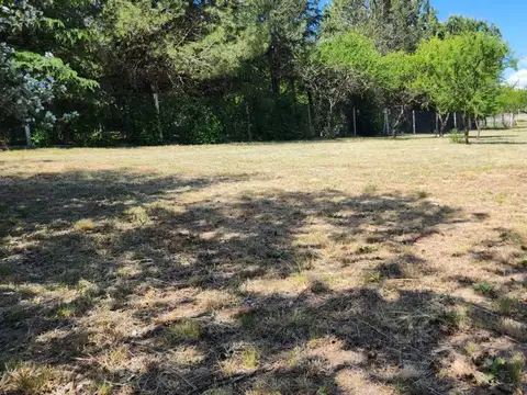 Terreno en Venta en Santa Ana, USD 40.000