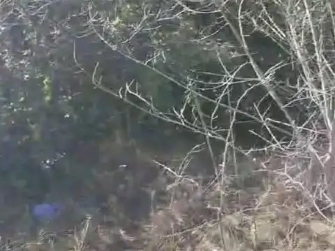 Cascos de Estancia Grande