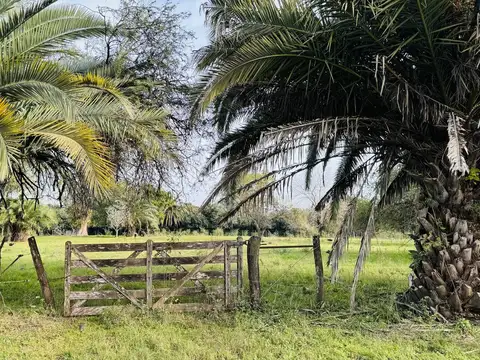 Terreno Autovía Ruta 14 entre Colón y Concepción del Uruguay 