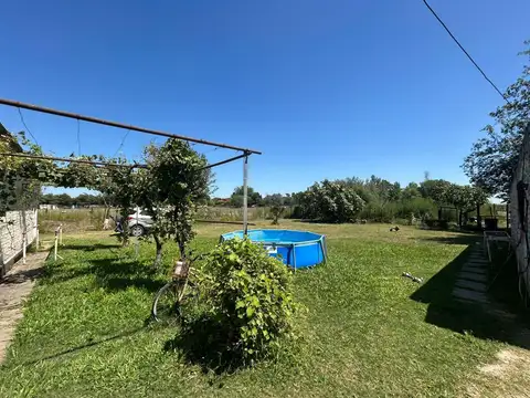Los pinos al 500