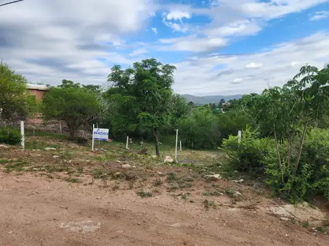 Lote a la venta en Bialet Masse. (L395)