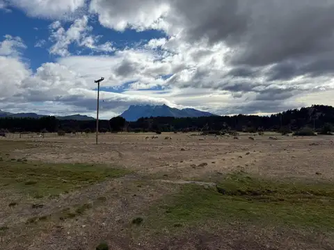 13,86 Has en Los Cipreses con luz y fácil acceso