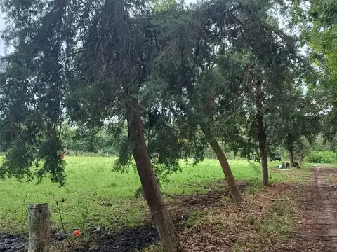 Terreno en Venta de 2,0 m2