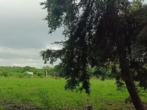 Terreno en Venta de 2,0 m2