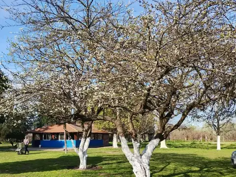 Terreno en Venta en Cuartel V, USD 165.000