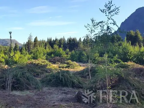 HECTAREA EL HOYO CHUBUT