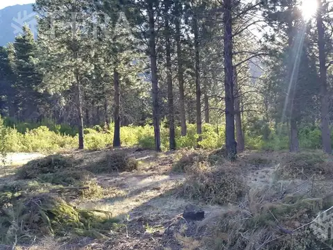 Terreno en Venta de 10060,0 m2