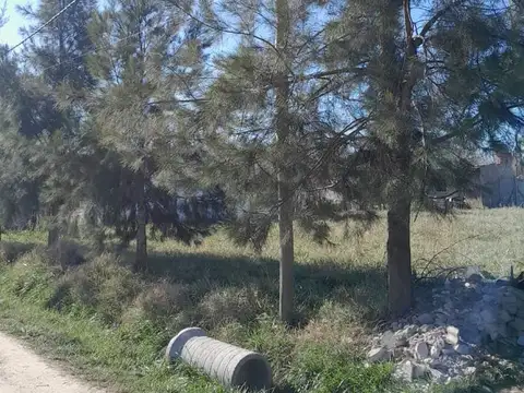 Terreno en Venta en Cañuelas, USD 15.000