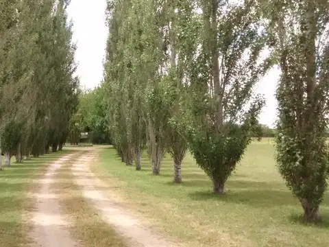 Casa en Alquiler de 3 dormitorios