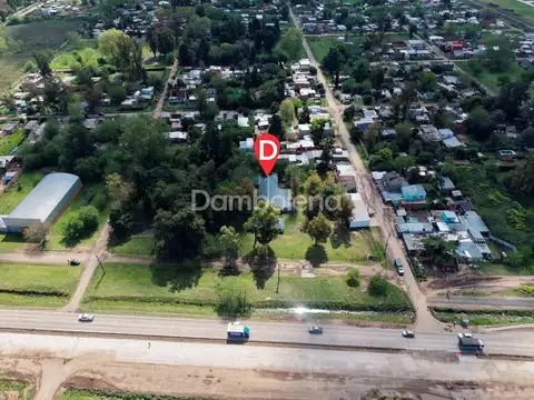 ruta 24 100