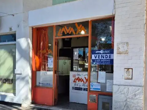 Mendoza 4910