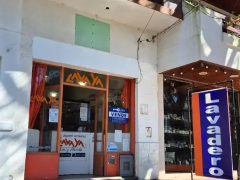 Mendoza 4910