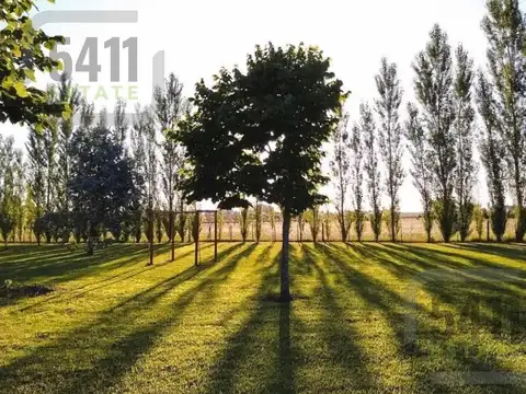 Terreno en Venta en Alejandro Petion, USD 29.000