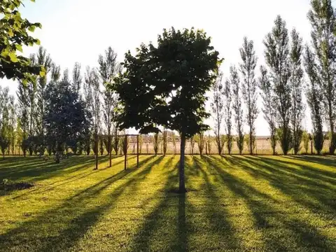 Terreno en Venta en Alejandro Petion, USD 32.500