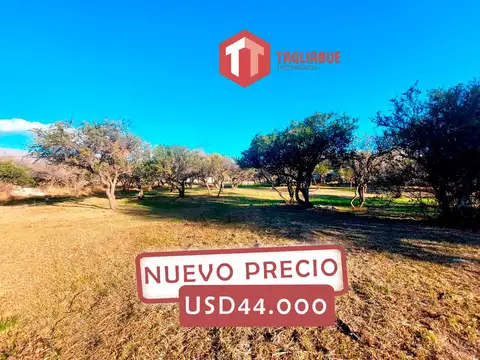 Terreno - Jardines de la Plaza