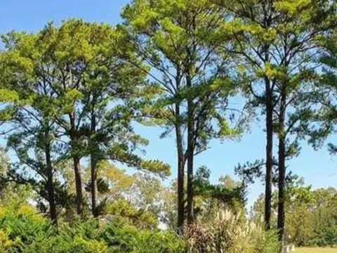 Pinares Country Club