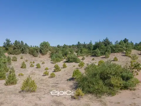 Terreno en Venta en Pinamar, USD 52.000