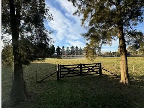 Terreno en Venta en Coronel Brandsen, USD 25.000