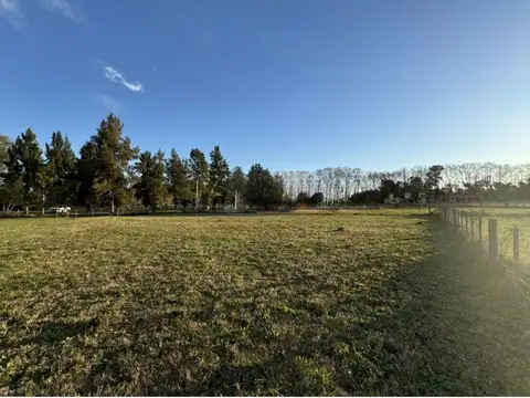 Terreno en Venta de 1977,0 m2