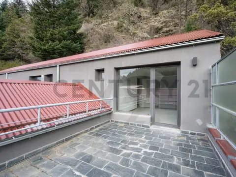 VENTA  DEPARTAMENTO SAN MARTIN DE LOS ANDES . CASCO CENTRICO.