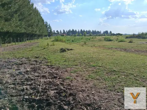 Terreno en Venta en Coronel Brandsen, Partido de Brandsen