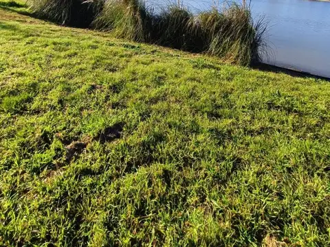 Terreno en Venta en Country Santa Rita, USD 94.000