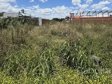 Calle 6 entre 83 y 84