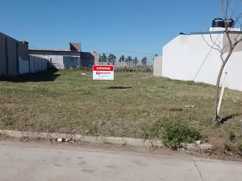 Loteo Tierra Nueva