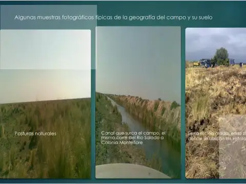 LA BANDA , SANTIAGO DEL ESTERO